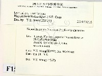 登錄號:F0015032藏品圖，第2張