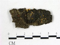 登錄號:F0015032藏品圖，第1張