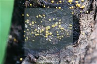 登錄號:F0015032藏品圖，第3張