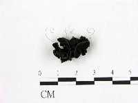 登錄號:F0015035藏品圖，第3張