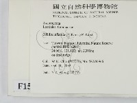 登錄號:F0015037藏品圖，第2張