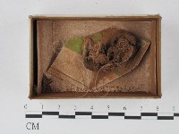 登錄號:F0015038藏品圖，第1張