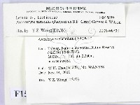 登錄號:F0015039藏品圖，第2張