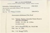 登錄號:F0015039藏品圖，第3張