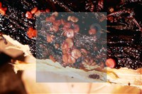 登錄號:F0015039藏品圖，第5張