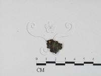 登錄號:F0015040藏品圖，第1張