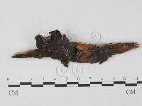 登錄號:F0015042藏品圖，第1張