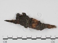 登錄號:F0015042藏品圖，第3張