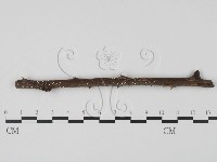 登錄號:F0015043藏品圖，第1張