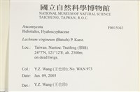 登錄號:F0015043藏品圖，第4張