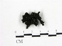 登錄號:F0015044藏品圖，第3張