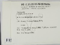 登錄號:F0015047藏品圖，第2張