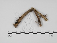 登錄號:F0015047藏品圖，第3張