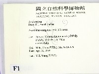 登錄號:F0015048藏品圖，第2張