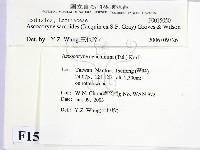 登錄號:F0015050藏品圖，第2張