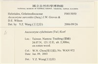 登錄號:F0015050藏品圖，第3張