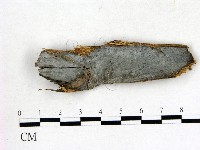 登錄號:F0015052藏品圖，第1張