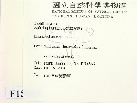 顯絲菌屬藏品圖，第2張