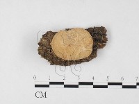 登錄號:F0015056藏品圖，第1張