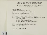 登錄號:F0015058藏品圖，第2張