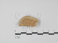 登錄號:F0015058藏品圖，第1張