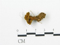 登錄號:F0015059藏品圖，第1張