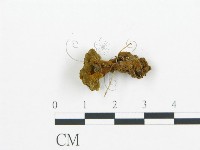 登錄號:F0015059藏品圖，第3張