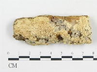 登錄號:F0015060藏品圖，第1張
