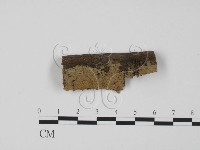 登錄號:F0015061藏品圖，第1張