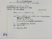 登錄號:F0015062藏品圖，第2張