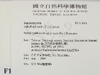 登錄號:F0015063藏品圖，第2張