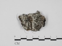 登錄號:F0015063藏品圖，第1張