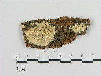 登錄號:F0015064藏品圖，第1張