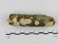 登錄號:F0015066藏品圖，第1張