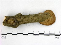 登錄號:F0015067藏品圖，第3張