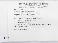 登錄號:F0015068藏品圖，第2張
