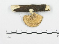 登錄號:F0015068藏品圖，第3張