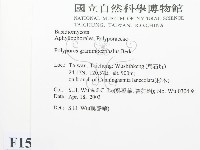 登錄號:F0015069藏品圖，第2張