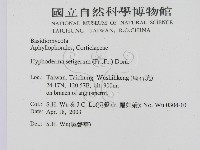 剛毛絲皮菌藏品圖，第2張