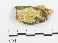 登錄號:F0015071藏品圖，第1張