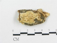 登錄號:F0015071藏品圖，第3張