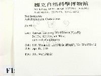 射脈菌屬藏品圖，第2張