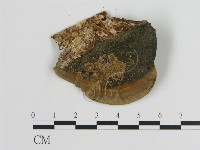 登錄號:F0015073藏品圖，第4張