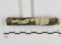 登錄號:F0015077藏品圖，第1張