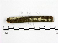 登錄號:F0015078藏品圖，第1張