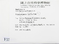 登錄號:F0015080藏品圖，第2張