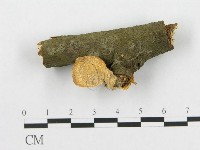 登錄號:F0015080藏品圖，第1張