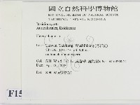 刺皮菌屬藏品圖，第2張