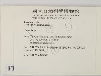 銀耳屬藏品圖，第2張