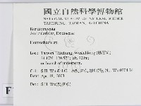 刺皮菌屬藏品圖，第2張
